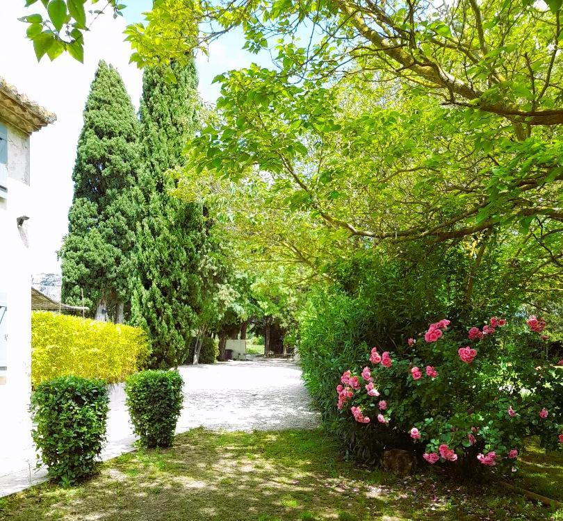 Le Mas Des Vergers Salon-de-Provence Exteriör bild